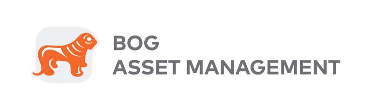 Asset Management | BGEO Group