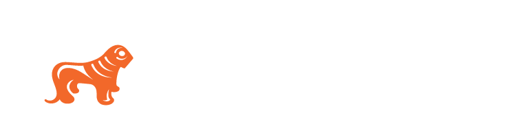 Asset Management | BGEO Group